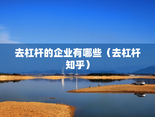 去杠杆的企业有哪些（去杠杆知乎）