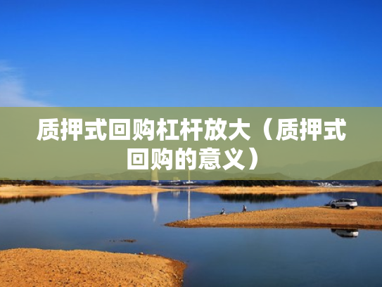 质押式回购杠杆放大（质押式回购的意义）