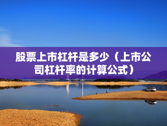 股票上市杠杆是多少（上市公司杠杆率的计算公式）
