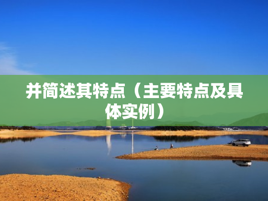 并简述其特点（主要特点及具体实例）