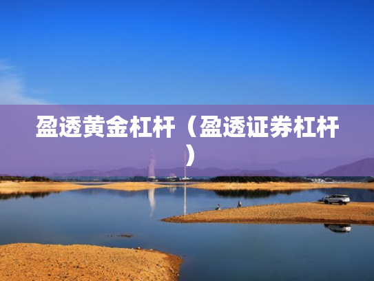 盈透黄金杠杆（盈透证券杠杆）
