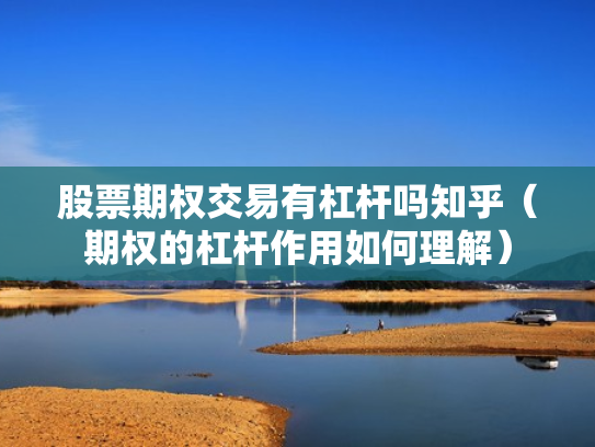 股票期权交易有杠杆吗知乎（期权的杠杆作用如何理解）