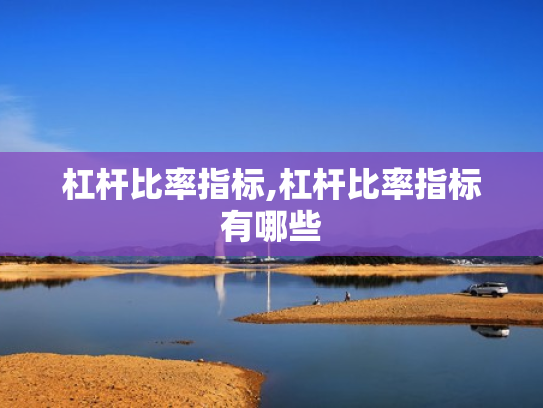 杠杆比率指标,杠杆比率指标有哪些