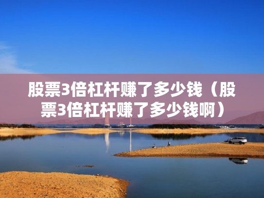 股票3倍杠杆赚了多少钱（股票3倍杠杆赚了多少钱啊）