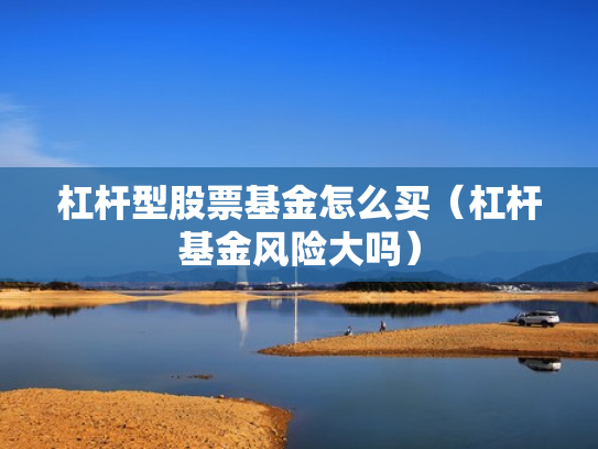 杠杆型股票基金怎么买（杠杆基金风险大吗）