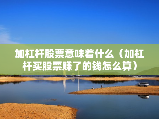 加杠杆股票意味着什么（加杠杆买股票赚了的钱怎么算）