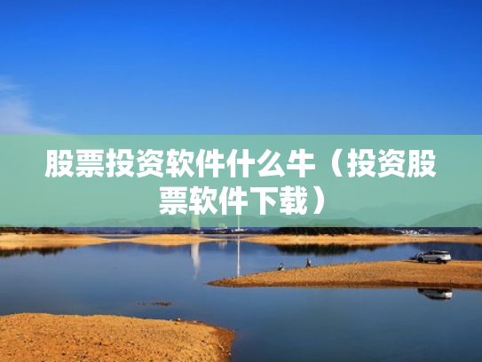 股票投资软件什么牛（投资股票软件下载）