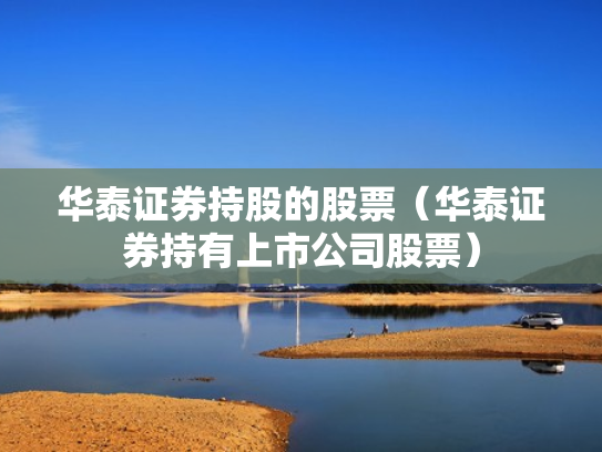 华泰证券持股的股票（华泰证券持有上市公司股票）