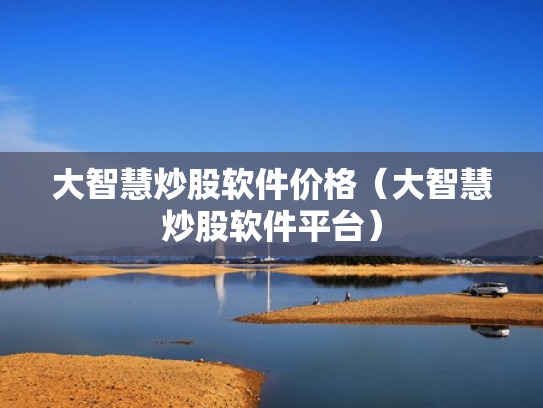 大智慧炒股软件价格（大智慧炒股软件平台）