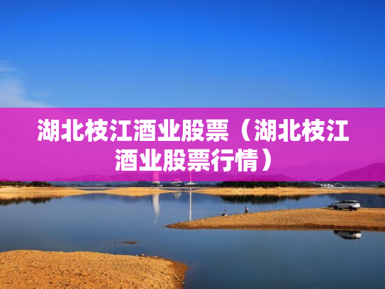 湖北枝江酒业股票（湖北枝江酒业股票行情）