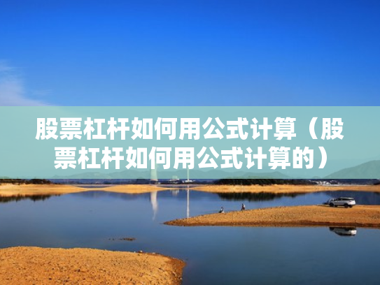 股票杠杆如何用公式计算（股票杠杆如何用公式计算的）