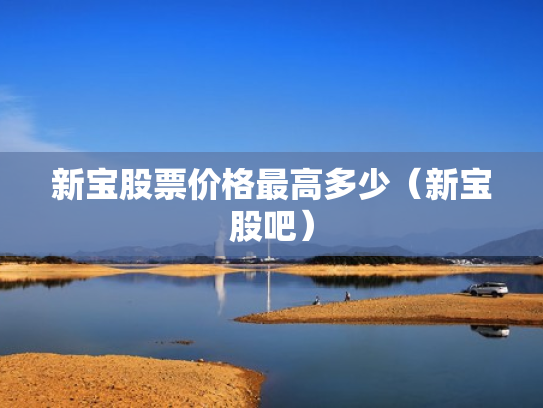 新宝股票价格最高多少（新宝股吧）