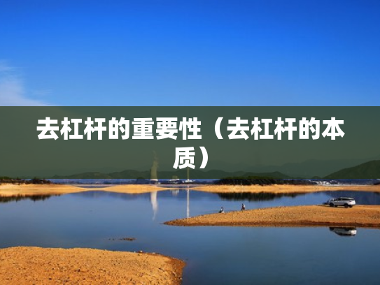去杠杆的重要性（去杠杆的本质）