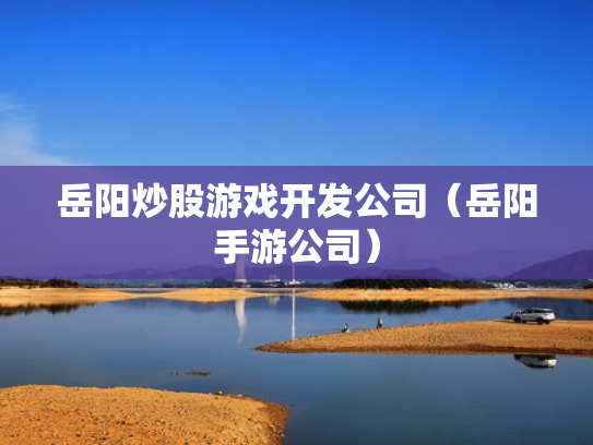 岳阳炒股游戏开发公司（岳阳手游公司）