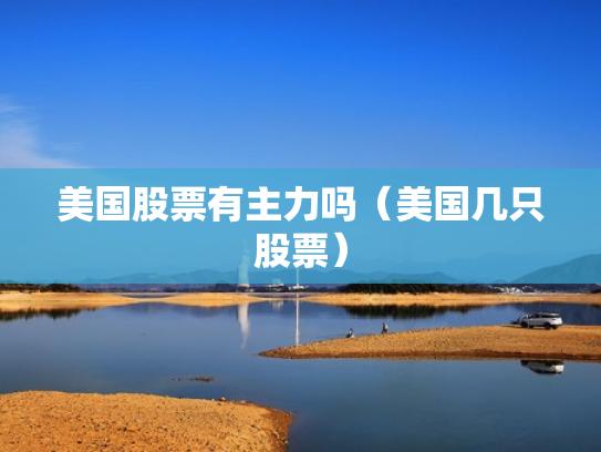 美国股票有主力吗（美国几只股票）