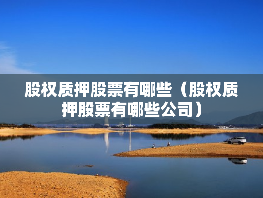 股权质押股票有哪些（股权质押股票有哪些公司）