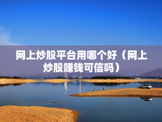 网上炒股平台用哪个好（网上炒股赚钱可信吗）