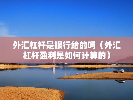 外汇杠杆是银行给的吗（外汇杠杆盈利是如何计算的）