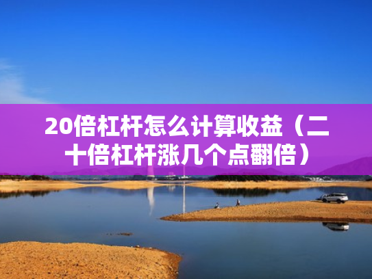 20倍杠杆怎么计算收益（二十倍杠杆涨几个点翻倍）