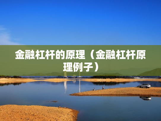 金融杠杆的原理（金融杠杆原理例子）