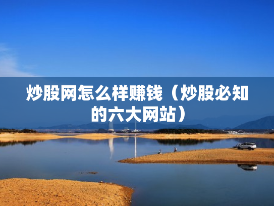 炒股网怎么样赚钱（炒股必知的六大网站）