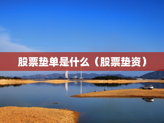 股票垫单是什么（股票垫资）