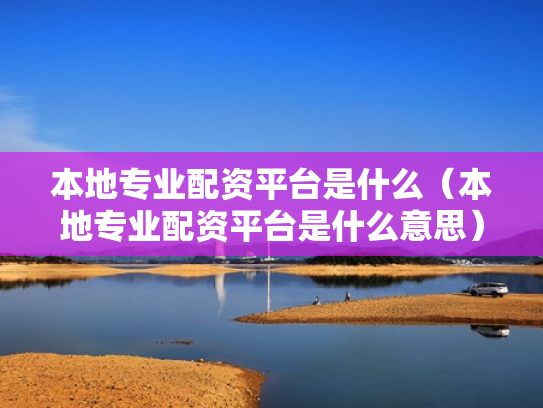 本地专业配资平台是什么（本地专业配资平台是什么意思）