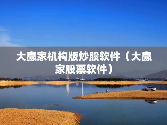 大赢家机构版炒股软件（大赢家股票软件）