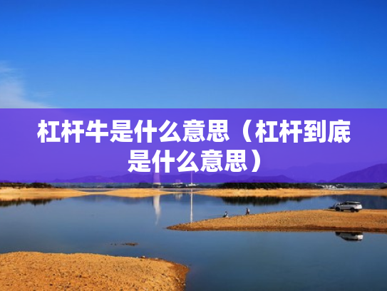 杠杆牛是什么意思（杠杆到底是什么意思）