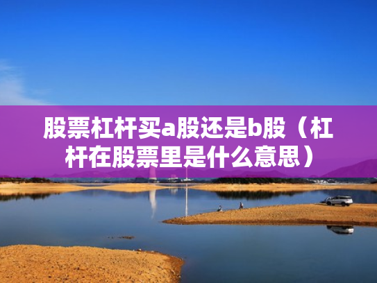 股票杠杆买a股还是b股（杠杆在股票里是什么意思）