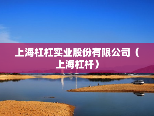 上海杠杠实业股份有限公司（上海杠杆）