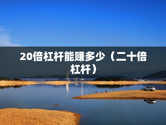 20倍杠杆能赚多少（二十倍杠杆）