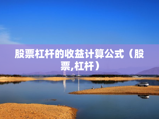 股票杠杆的收益计算公式（股票,杠杆）