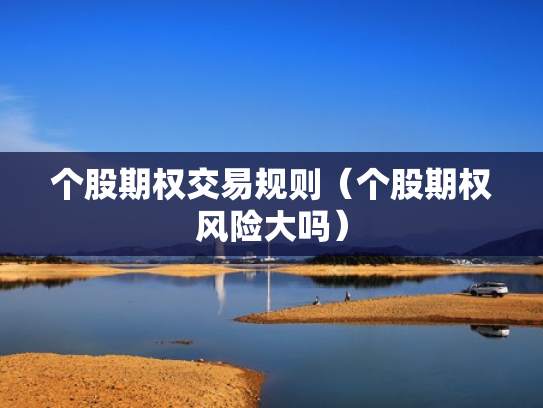 个股期权交易规则（个股期权风险大吗）