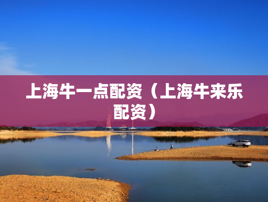上海牛一点配资（上海牛来乐配资）