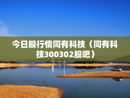 今日股行情同有科技（同有科技300302股吧）