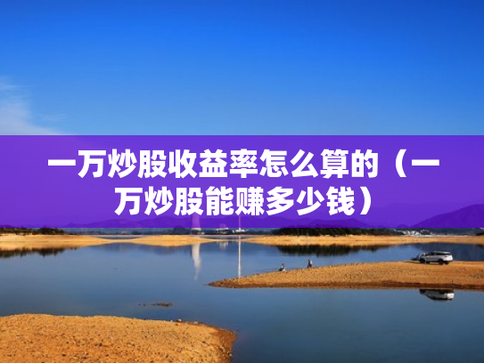 一万炒股收益率怎么算的（一万炒股能赚多少钱）