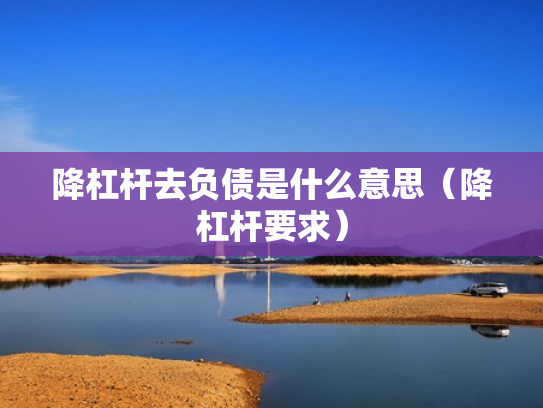 降杠杆去负债是什么意思（降杠杆要求）