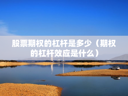 股票期权的杠杆是多少（期权的杠杆效应是什么）