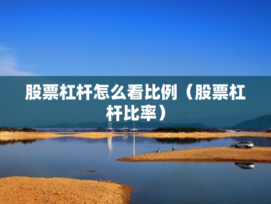 股票杠杆怎么看比例（股票杠杆比率）