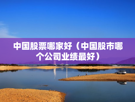 中国股票哪家好（中国股市哪个公司业绩最好）