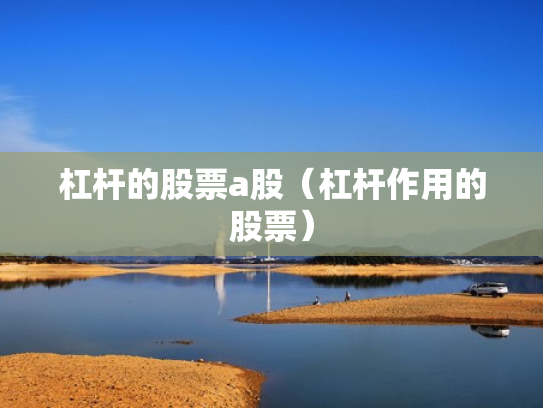 杠杆的股票a股（杠杆作用的股票）