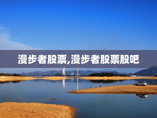 漫步者股票,漫步者股票股吧