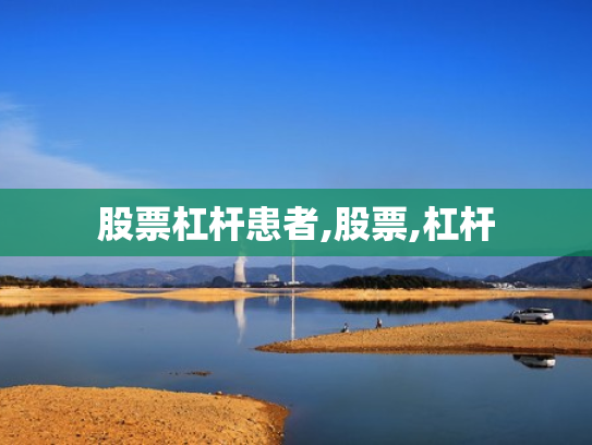 股票杠杆患者,股票,杠杆