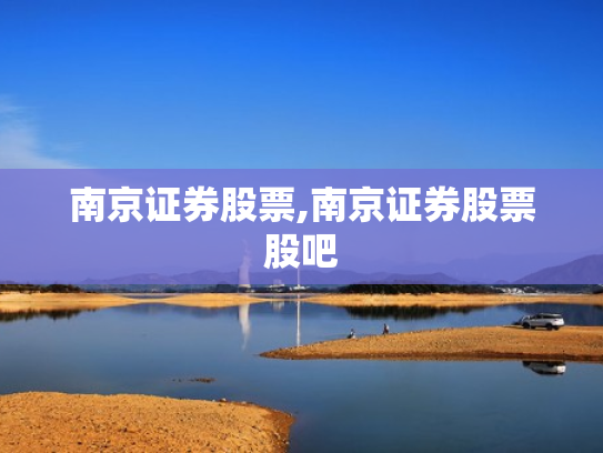 南京证券股票,南京证券股票股吧