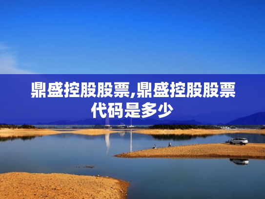 鼎盛控股股票,鼎盛控股股票代码是多少