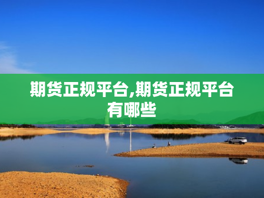 期货正规平台,期货正规平台有哪些