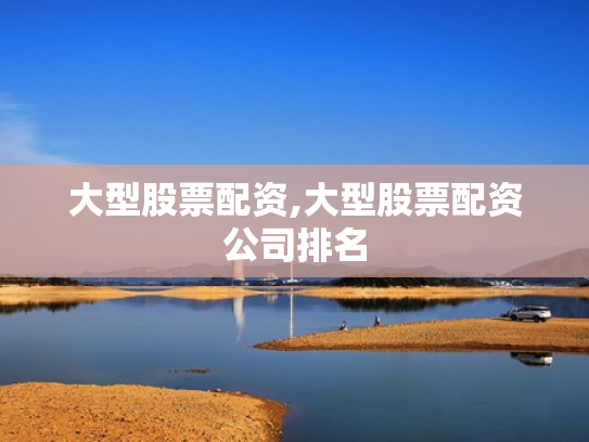 大型股票配资,大型股票配资公司排名