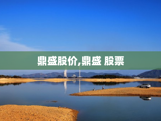鼎盛股价,鼎盛 股票