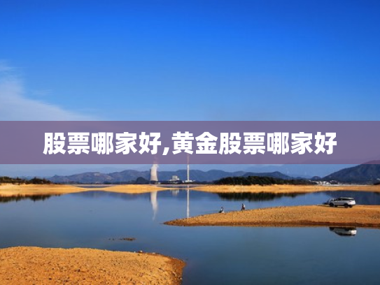 股票哪家好,黄金股票哪家好